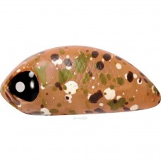 Воблер Lucky John Pro Series Haira Tiny Shallow Pilot HAT33F-505