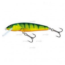 Плаваючий Воблер Salmo Minnow F 05/HP