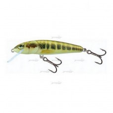 Плаваючий Воблер Salmo Minnow F 07/M