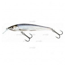 Повільно тонучий Воблер Salmo Sting F 06/RBL