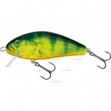 Плаваючий Воблер Salmo Fatso Crank C 14/RHP