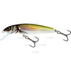 Плаваючий Воблер Salmo Minnow F 05/HBL