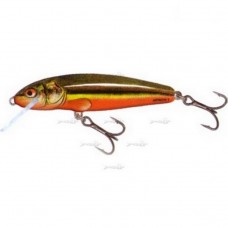 Плаваючий Воблер Salmo Minnow F 06/RBD
