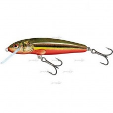 Плаваючий Воблер Salmo Minnow F 09/RBD