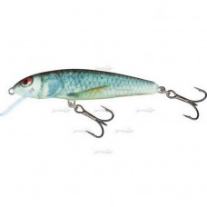 Плаваючий Воблер Salmo Minnow F 09/RD