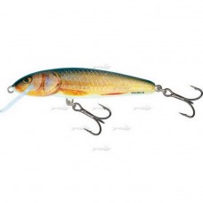 Плаваючий Воблер Salmo Minnow F 09/RR