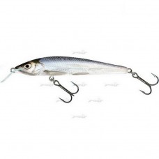 Плаваючий Воблер Salmo Sting F 12/RBL