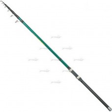 Карпове вудлище Salmo Taifun Tele Carp 300