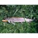Воблер Свімбейт Savage Gear 4play SWIM AND JERK 19/09