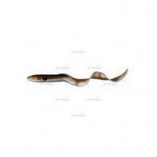 Комплект Віброхвістів Savage Gear Real Eel Loose Body 20-02 Комплект Віброхвістів Savage Gear Real Eel Loose Body 20-02